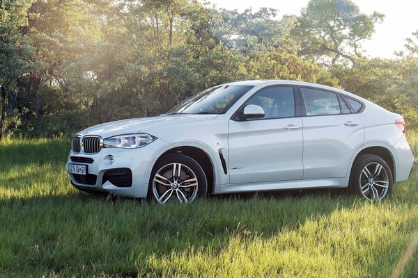 Bmw, x6 2015 G. photo dans la nature soleil