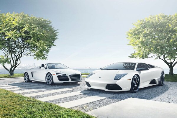 Audi and Lamborghini stand against the background of two trees