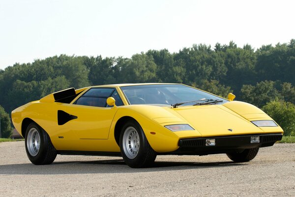 Yellow lamborghini on a background of trees