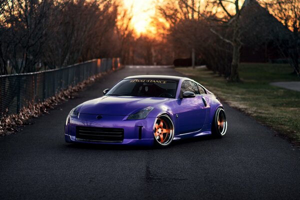 Nissan 350Z purple color stands on the road drowning in sunset