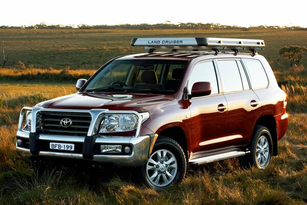 The Australian version of Toyota as an SUV on the field