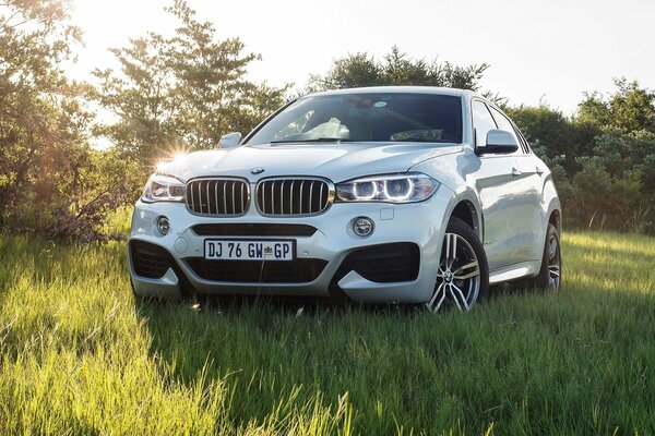 Białe BMW z przodu z włączonymi reflektorami na trawie