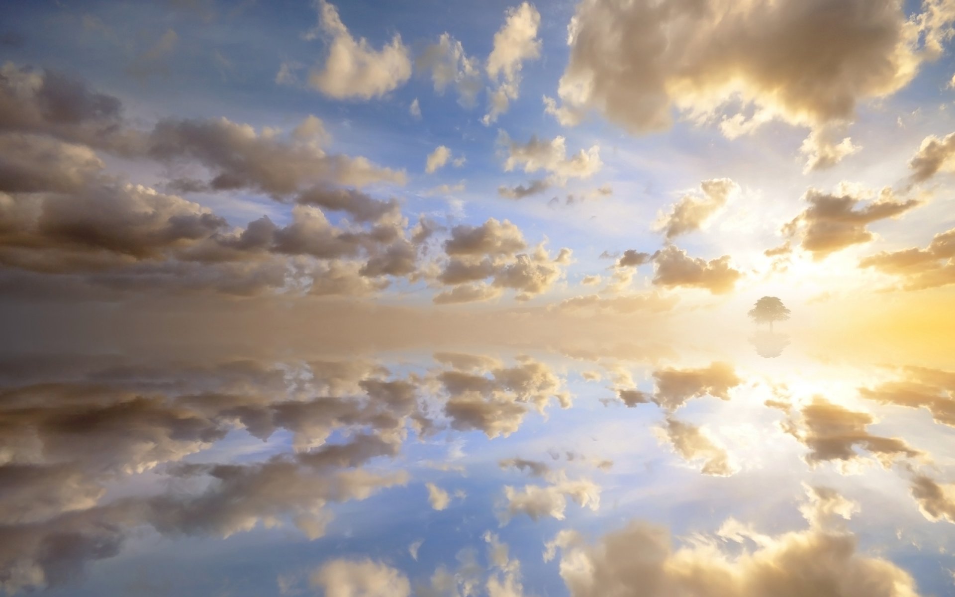 wolken himmel sonne reflexionen reflexion sonnenuntergang horizont baum