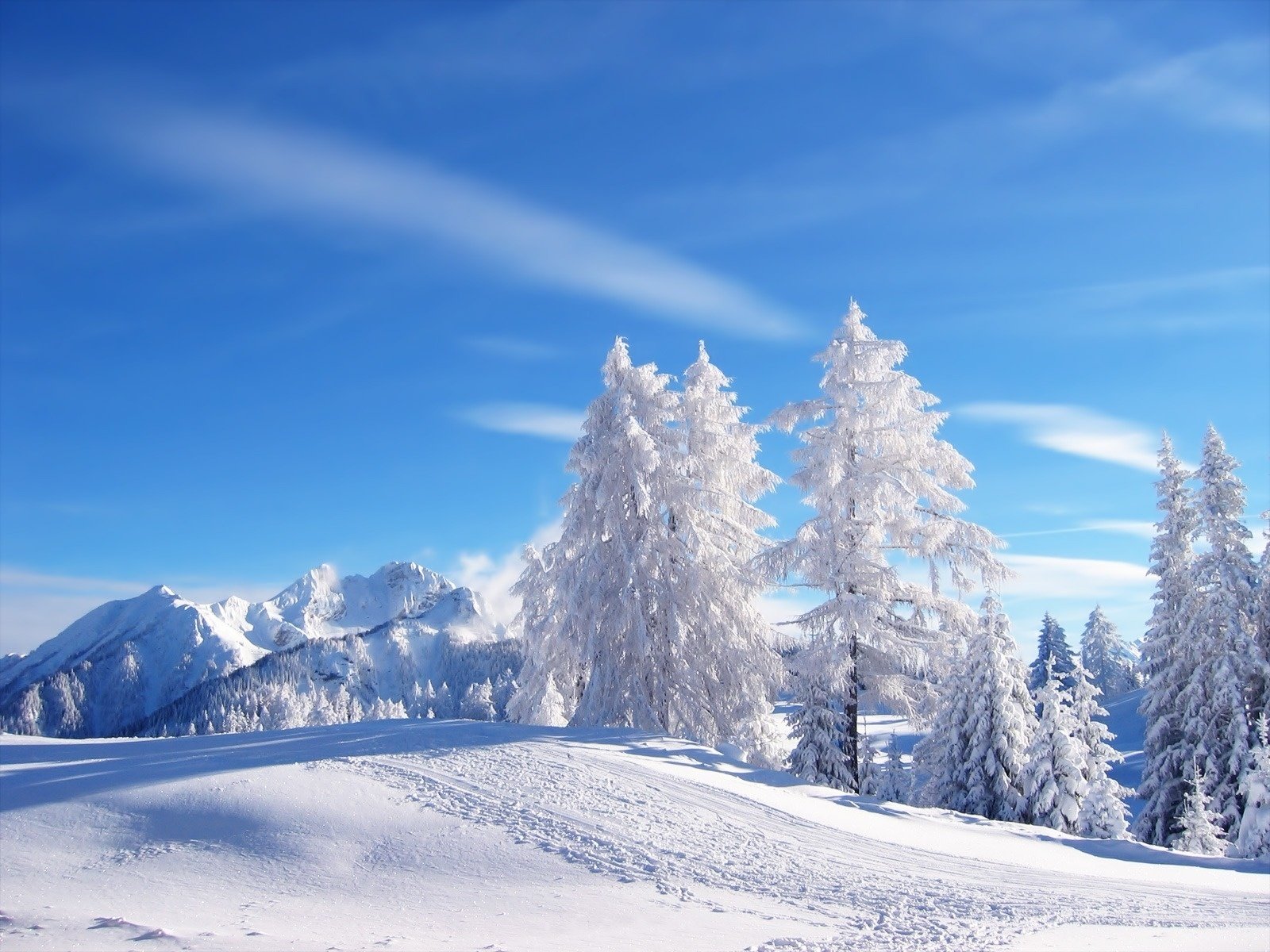 inverno neve alberi di natale montagne cielo strada tracce alberi