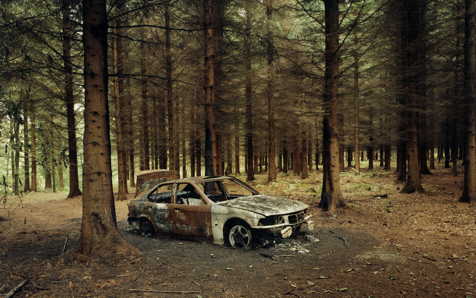 forest car fire bmw the skeleton earth auto metal trees vehicle