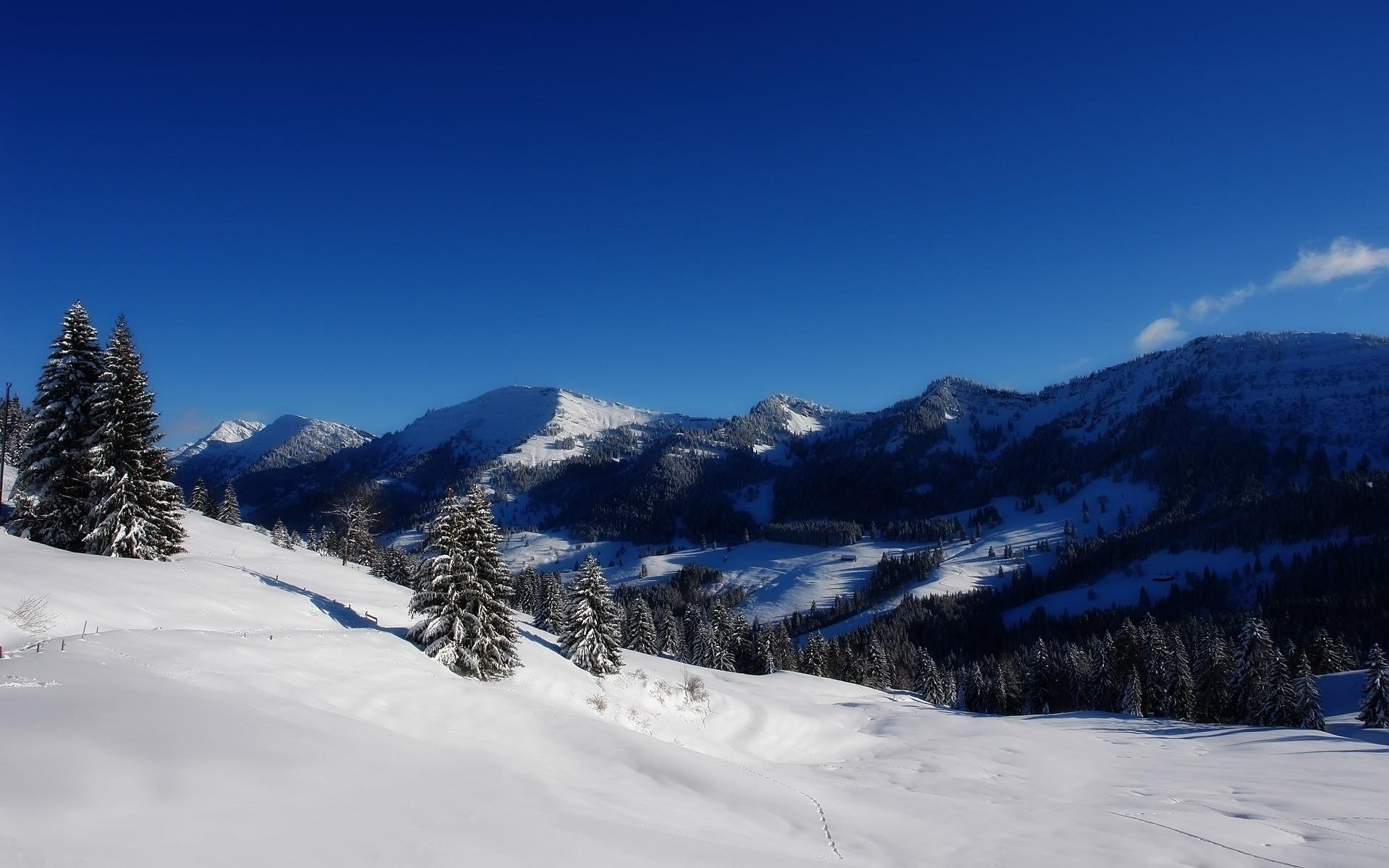 alpi montagne neve inverno vista alberi di natale orizzonte