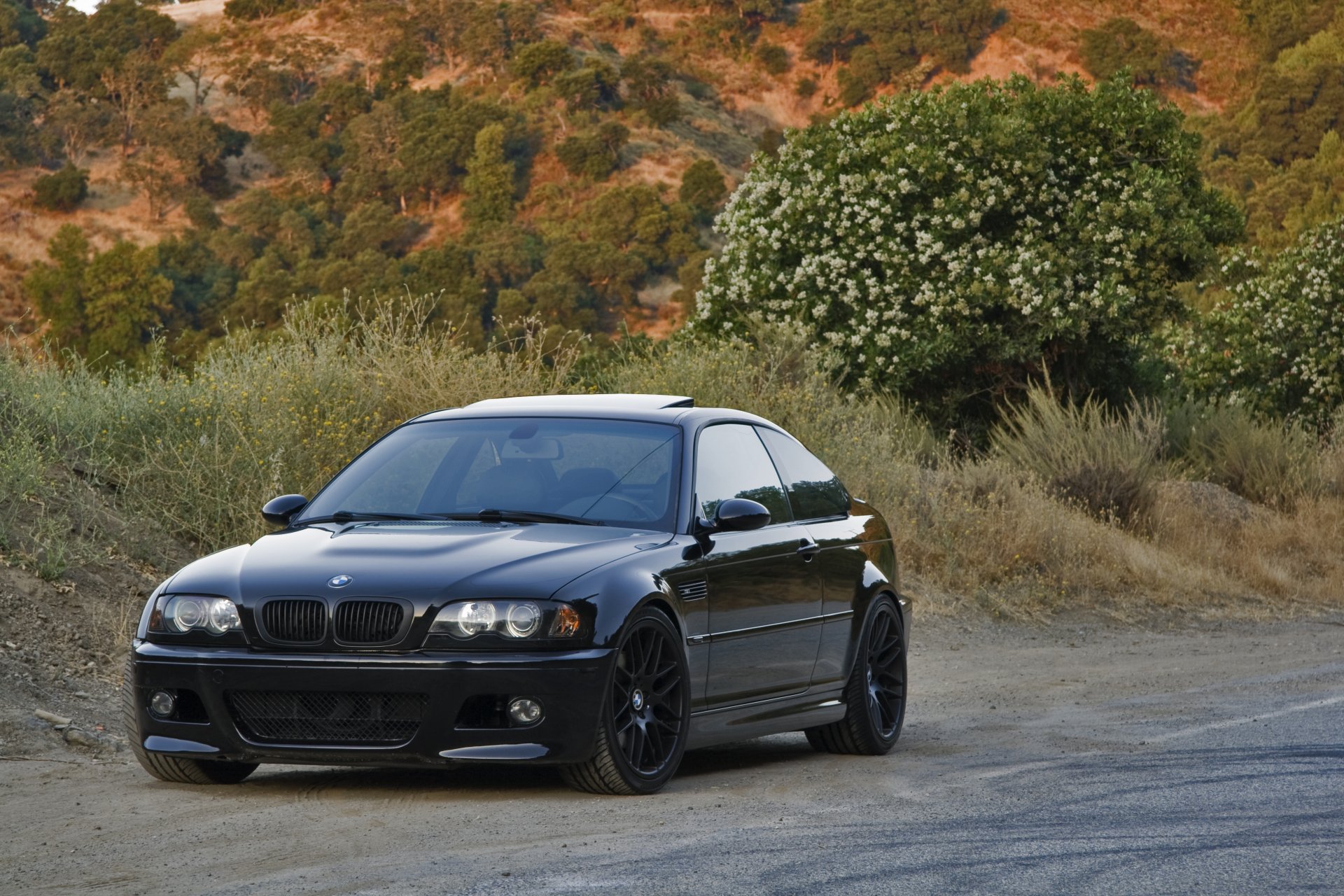 bmw m3 e46 negro bmw reflexión carretera árboles pendiente