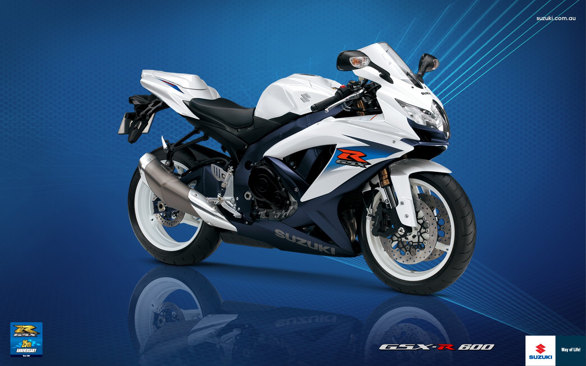 gsx-r 600 suzuki k8 suzuki jixer bianco moto sportbike moto moto hi-tech dirt bike veicoli a motore