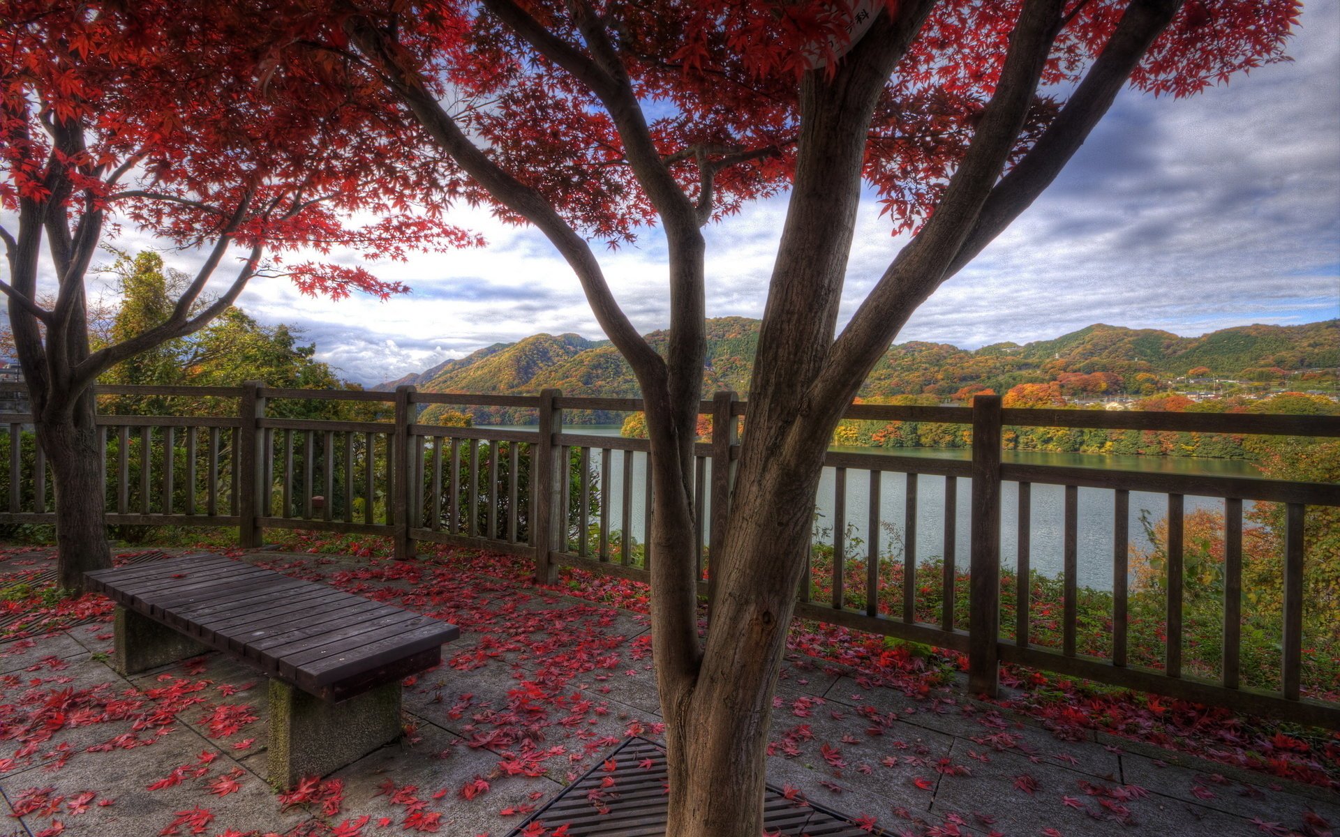 montagnes lac feuillage banc arbre garde-corps automne