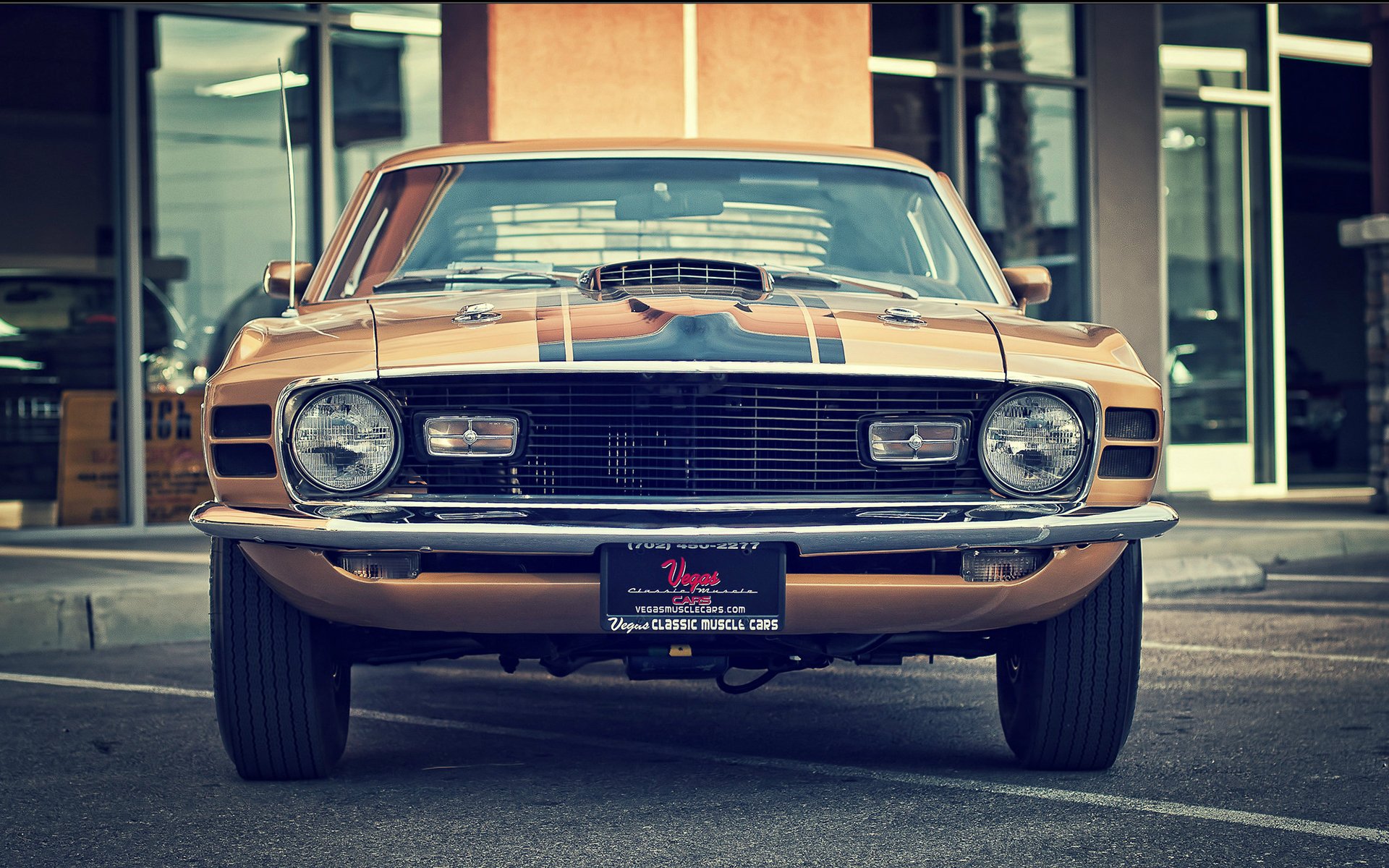 ford mustang mach 1 vintage clásico