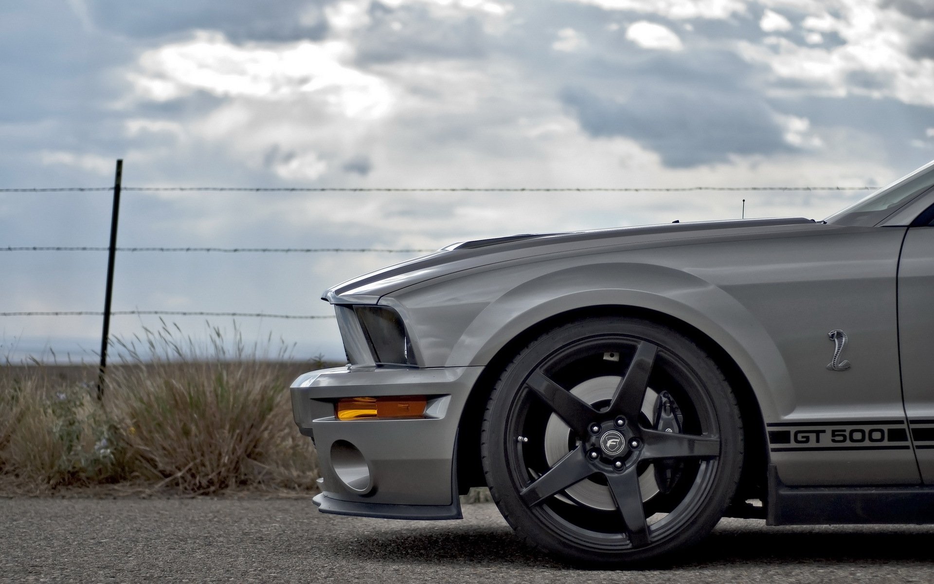 coche carretera ford mustang gt 500