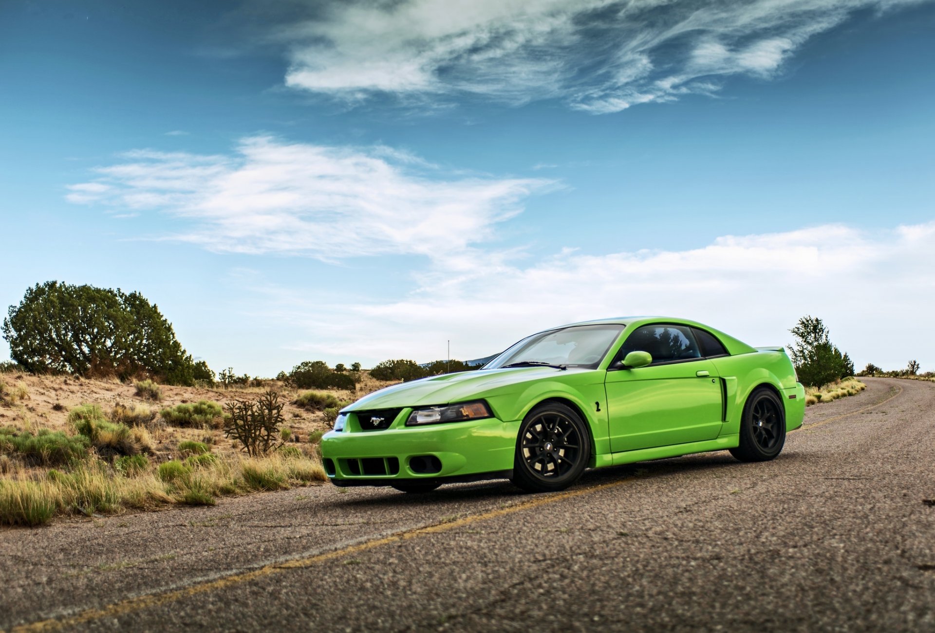 ford mustang shelby wolken