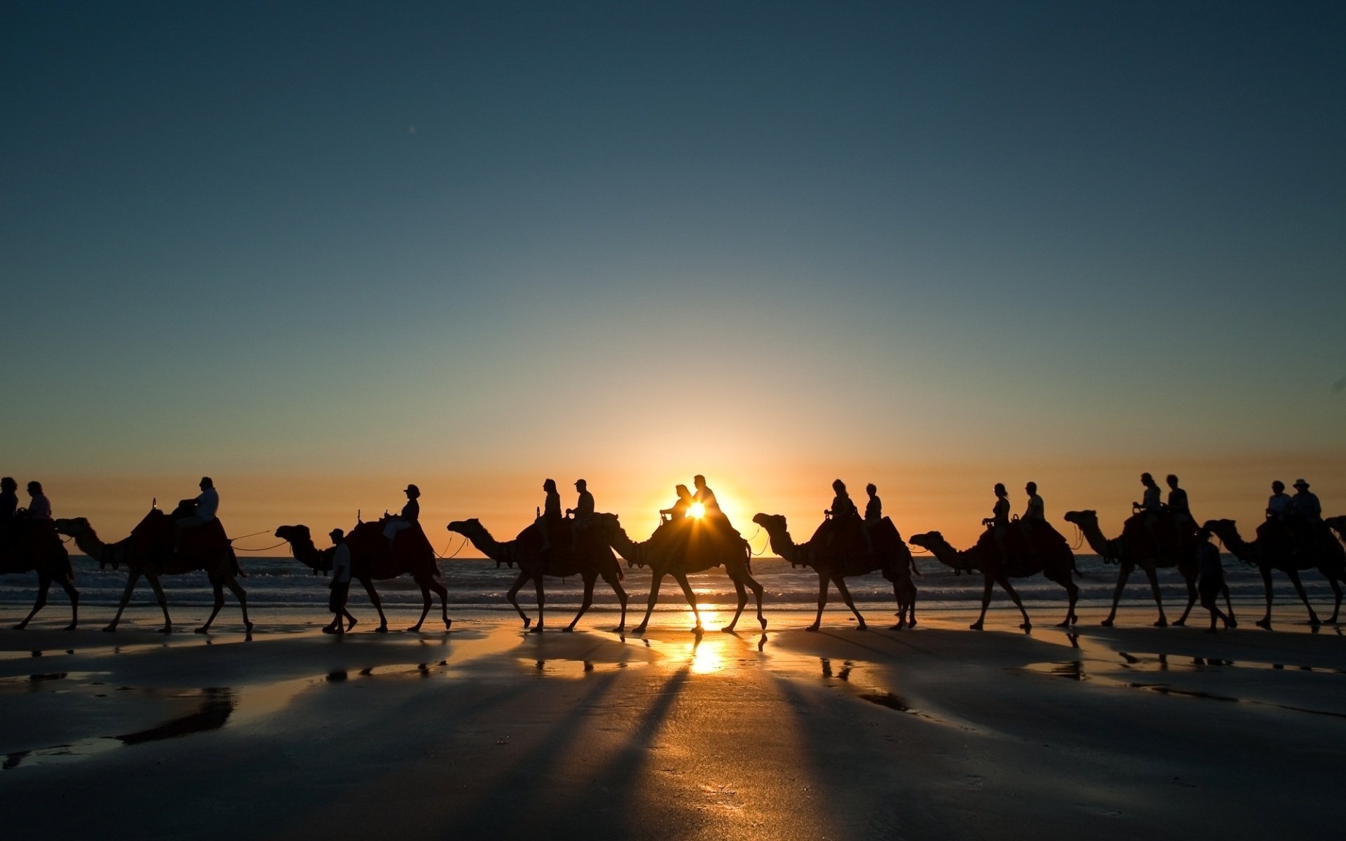 coast camels caravan sunset wallpapers wallpapers coast desert