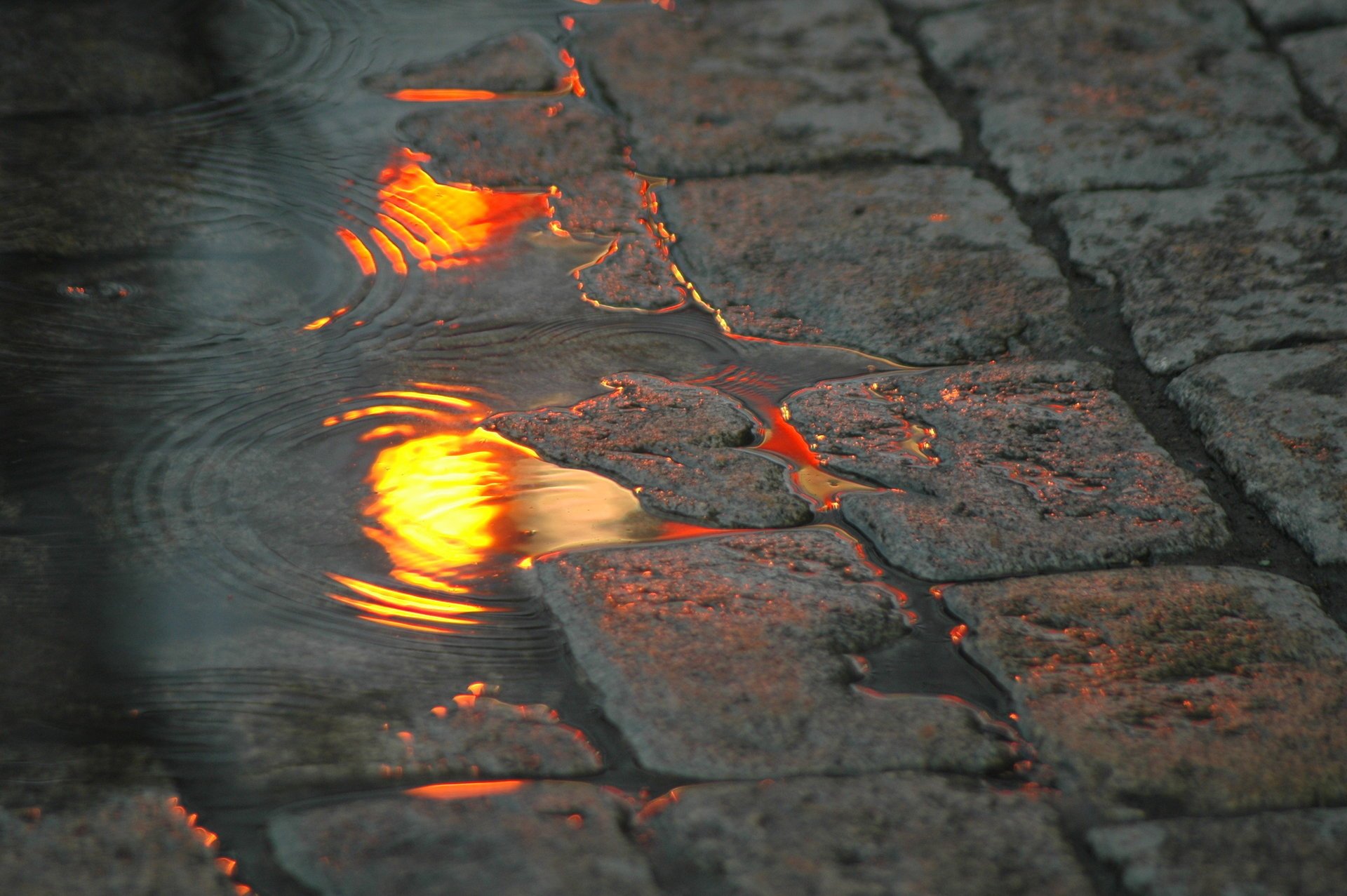 pfütze straße reflexion lichter pflastersteine wasser steine lichter der städte