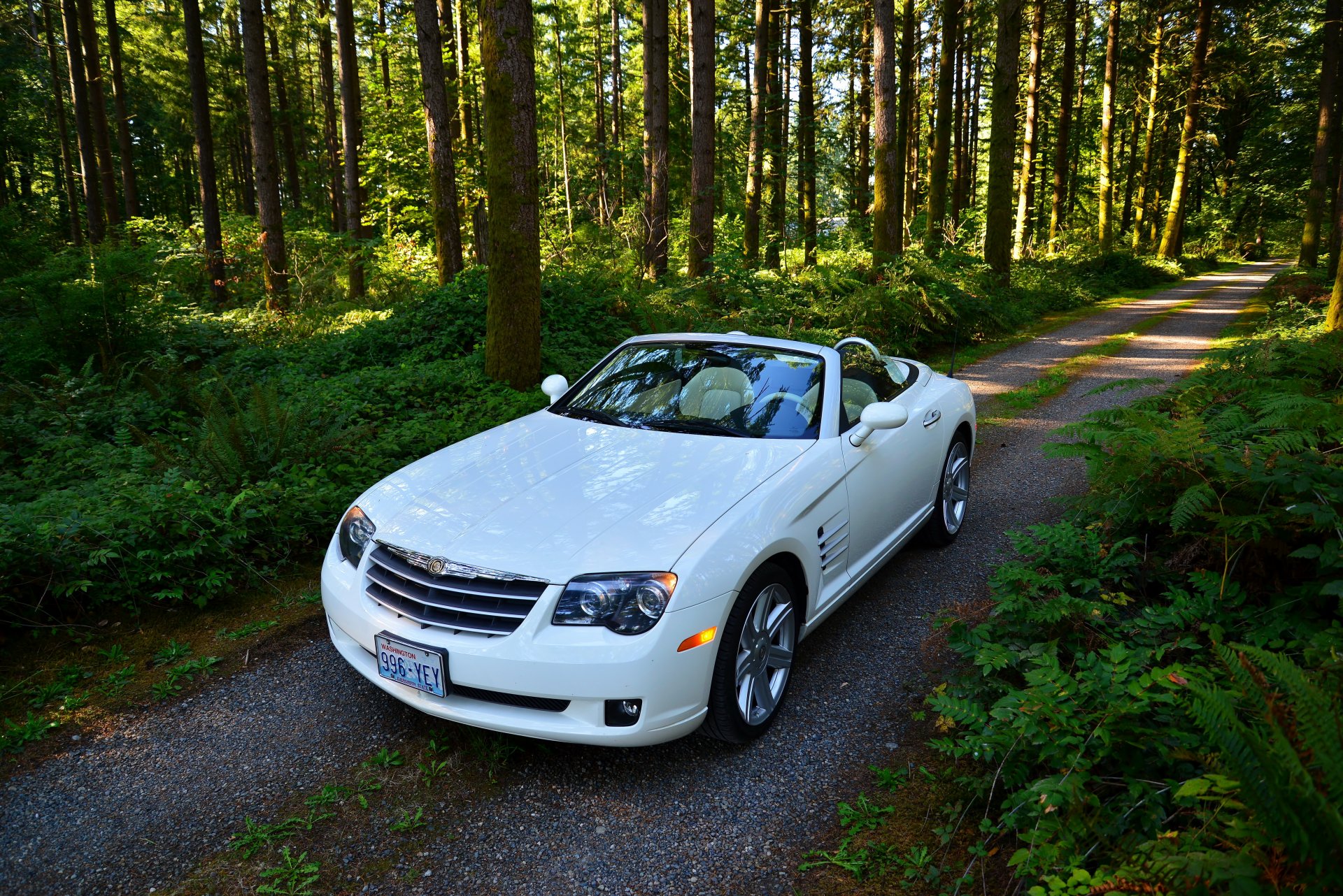 chrysler crossfire srt6 bianco convertibile foresta strada alberi