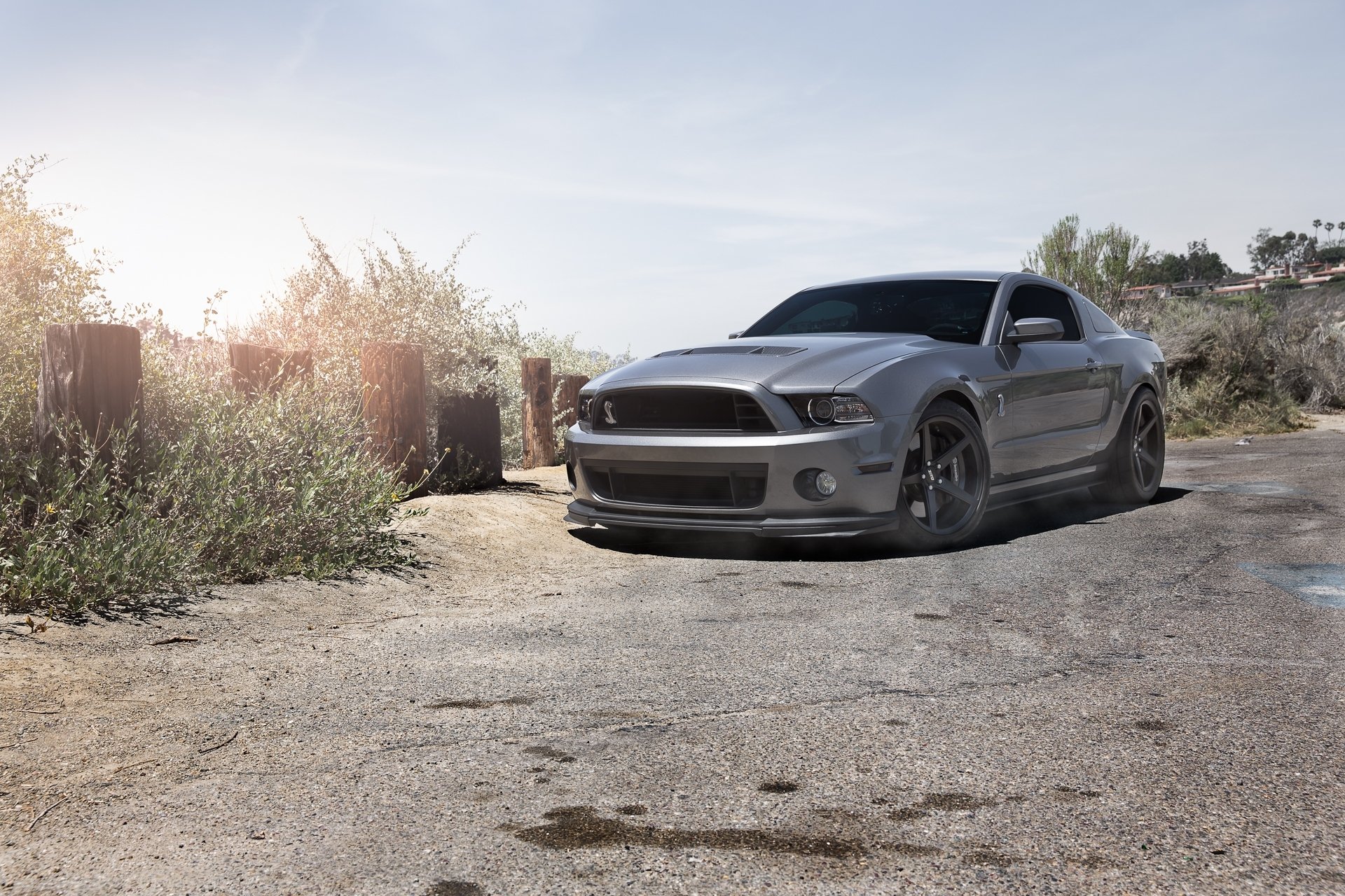 ford mustang gt500 shelby grey coloured view sky