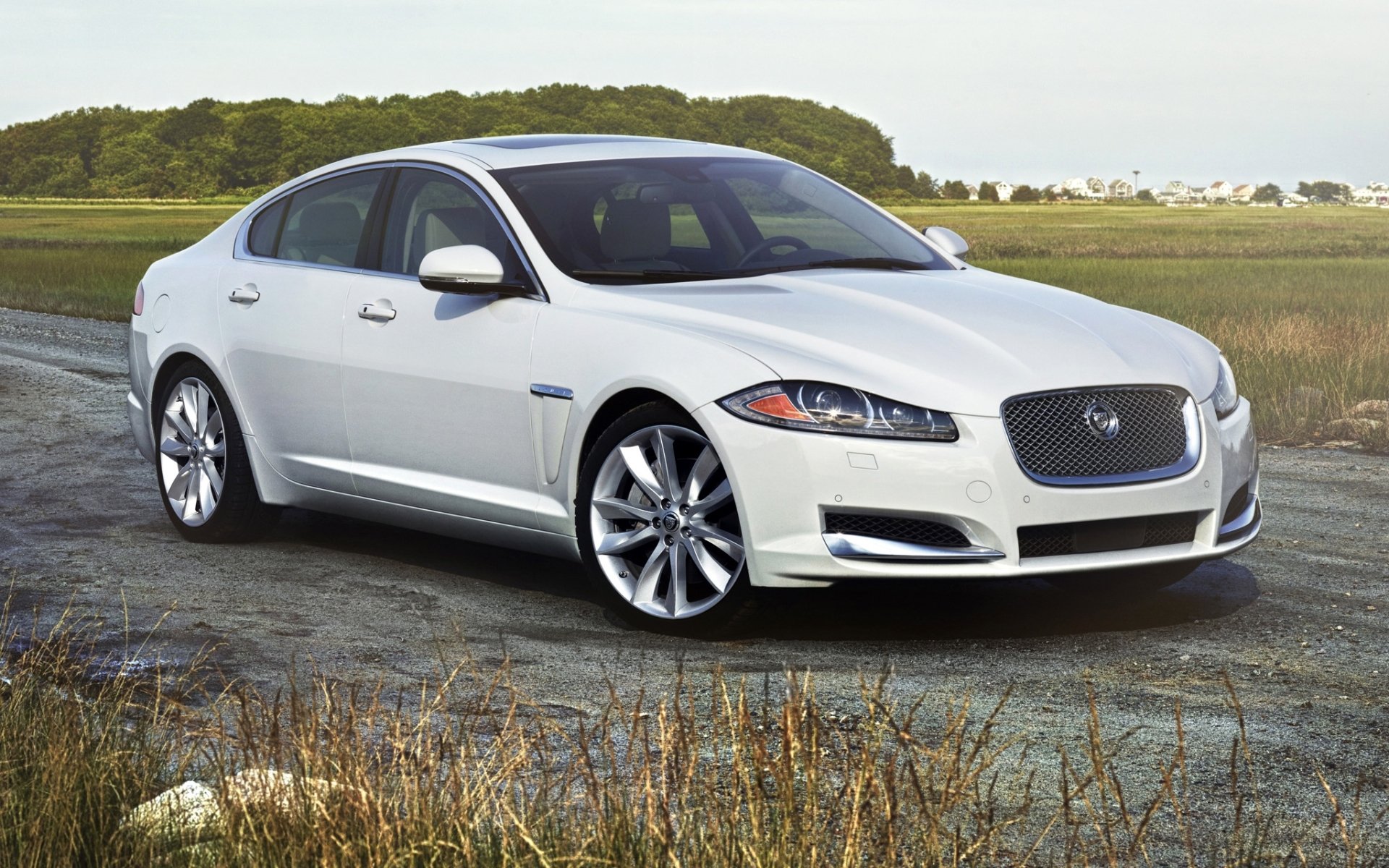 jaguar xf 3.0 awd ягуар иксэф седан белый передок дорога