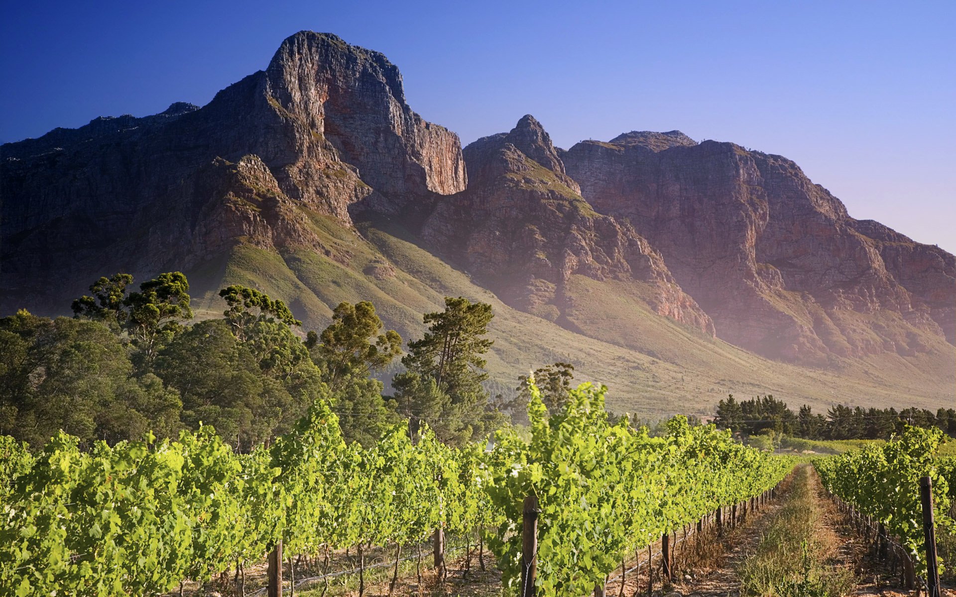 montañas viñedo cielo camino cerca verano hojas árboles hierba