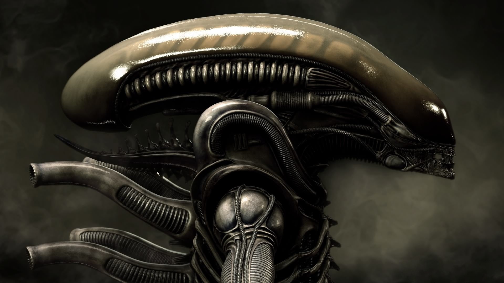 alien alien xenomorph xenomorph weyland-yutani sulaco lv-426 ripley películas ficción cine