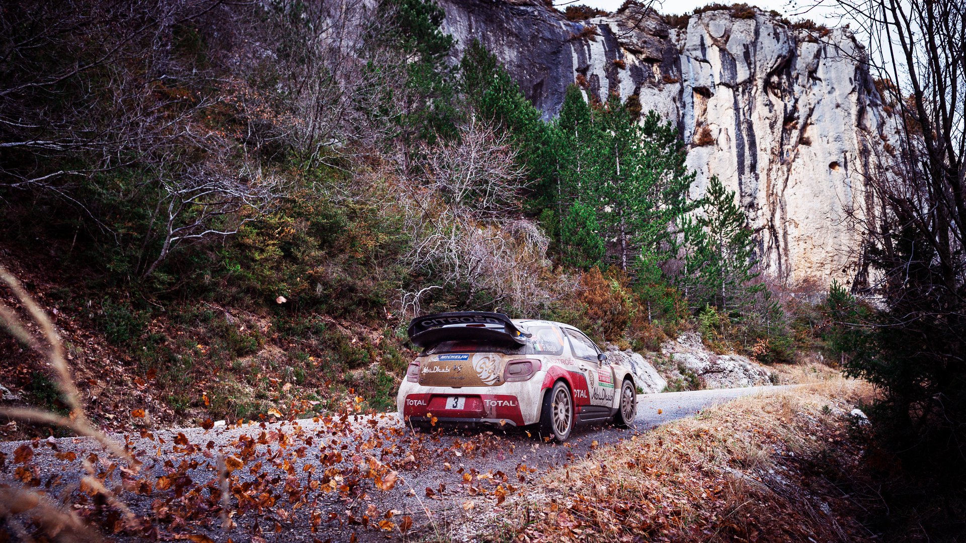 citroen ds3 wrc rallye rallye auto sport citroen voll felsen berge blätter