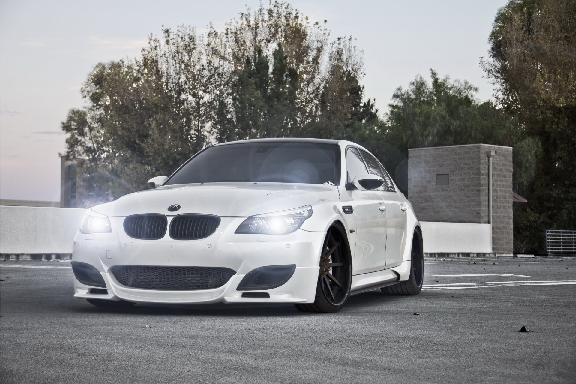 bmw m5 e60 blanco bmw faros luz árboles