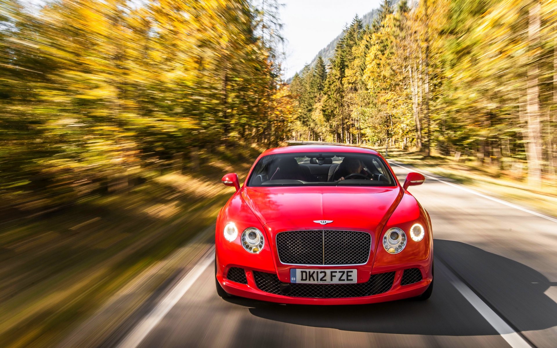 bentley continental gt auto frente coche rojo capucha bosque en movimiento faros