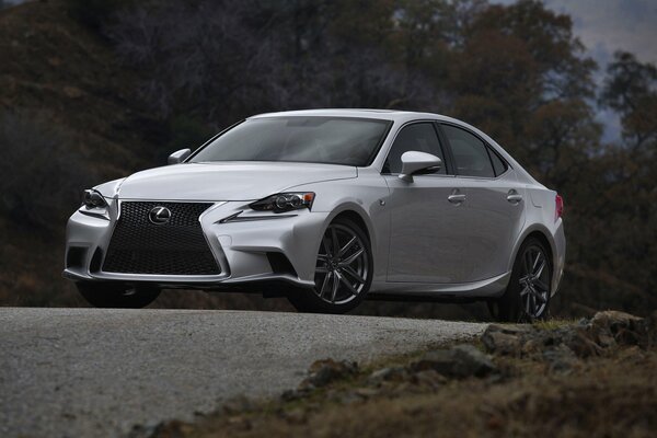 Belle Lexus sur fond de nature avec une grille de radiateur brutale