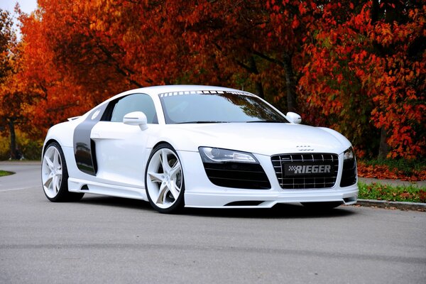 Voiture de sport dans les peintures d automne