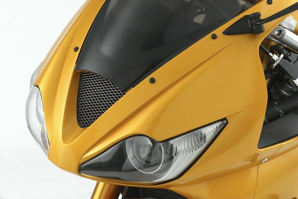 Triuph daytona 675 goldfarben