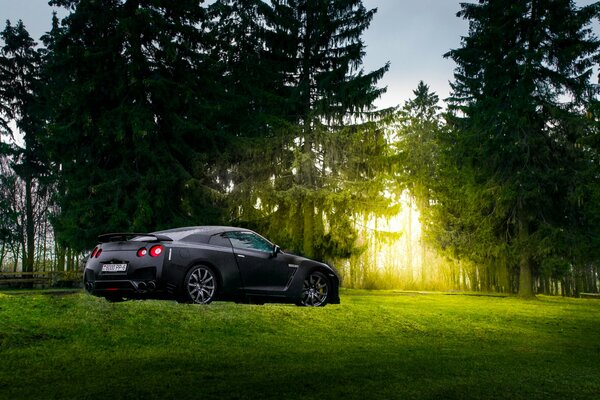 Negro mate japonés coche deportivo estacionado en el bosque