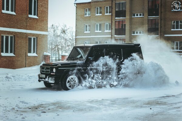 Mercedes gelintvagin in the winter yard