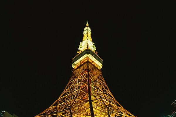 Eiffel Tower illuminated at night