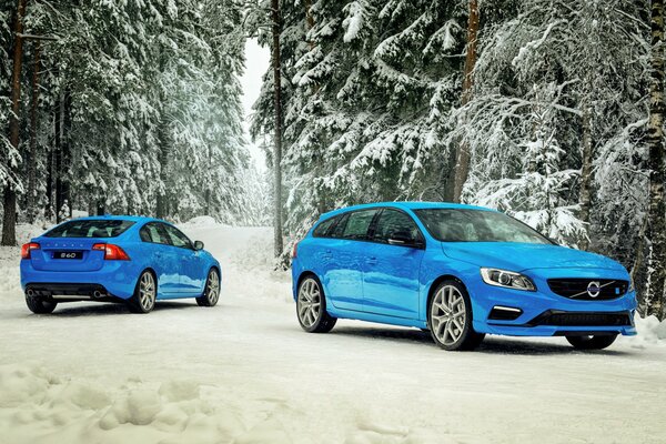 Zwei blaue Autos im Zwieseler Wald