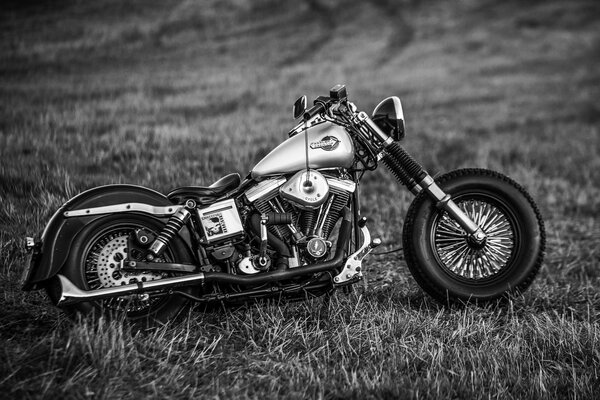 Incorruptible y solitario harley-davidson en un campo gris