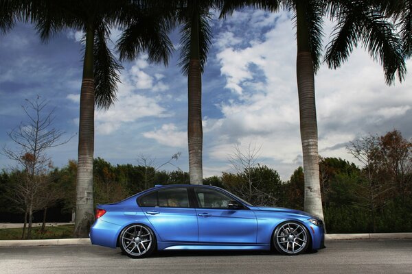 Sports car on the background of green trees