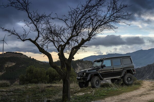 Schwarze Helik in Brabus Bodyskits am Baum