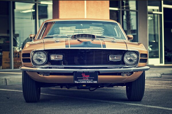 Ford mustang classic vintage