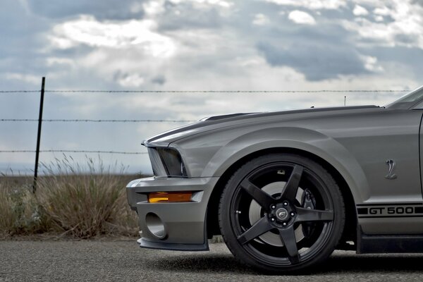 Ford Mustang plateado en la naturaleza