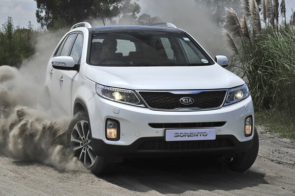 White kia sorento crossover