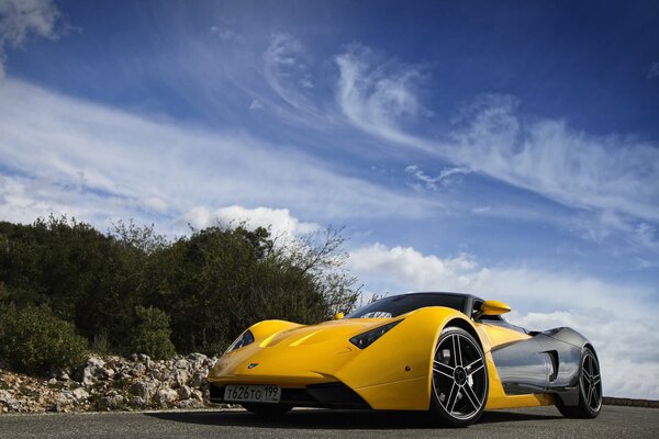 Coche deportivo amarillo en la carretera