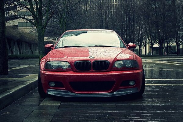 Red bekha on a wet road