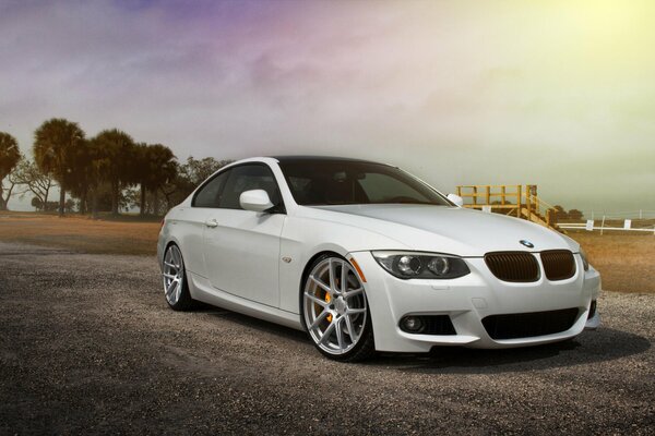 Blanc BMW dans la nature dans un bel angle