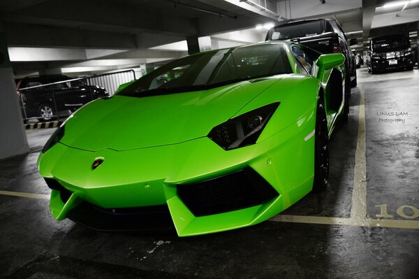 Green Lamborghini car with avendator