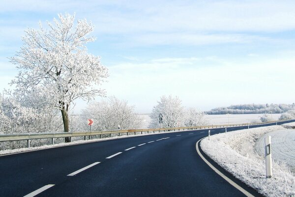 Landscape of a snowy highway with trees