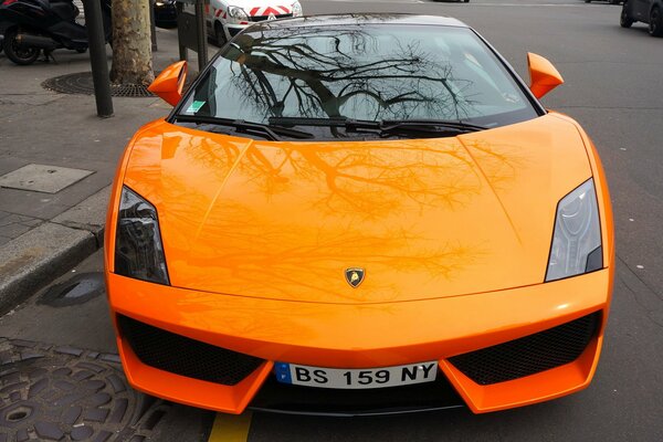 Błyszczący pomarańczowy supersamochód Lamborghini Gallardo