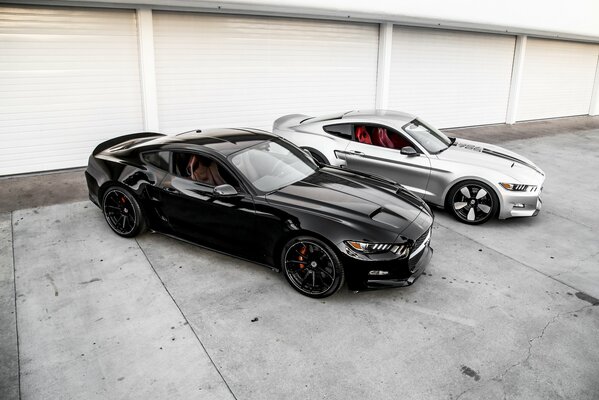 Zwei sportliche Mustangs als Yin-Yang