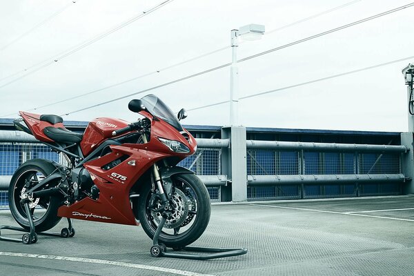 Rotes Motorrad triumph daytona 675