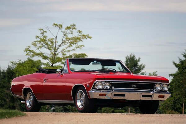 Chevrolet rojo contra el bosque verde