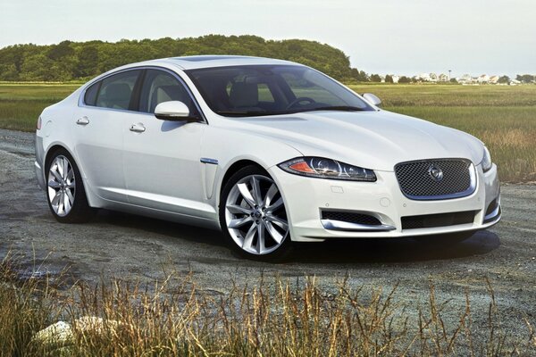 Voiture pour toutes les routes. Nouvelle Jaguar XF Berline Premium