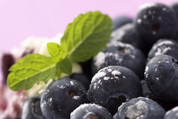 Blueberries powdered sugar in a macro shoot